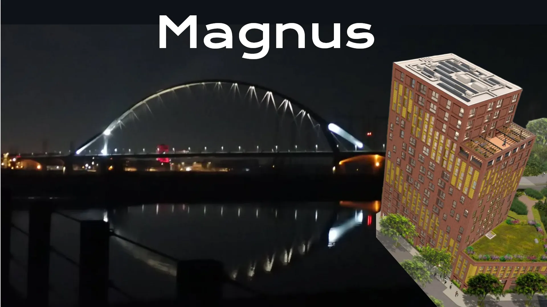 Magnus aan de waal - afbeelding